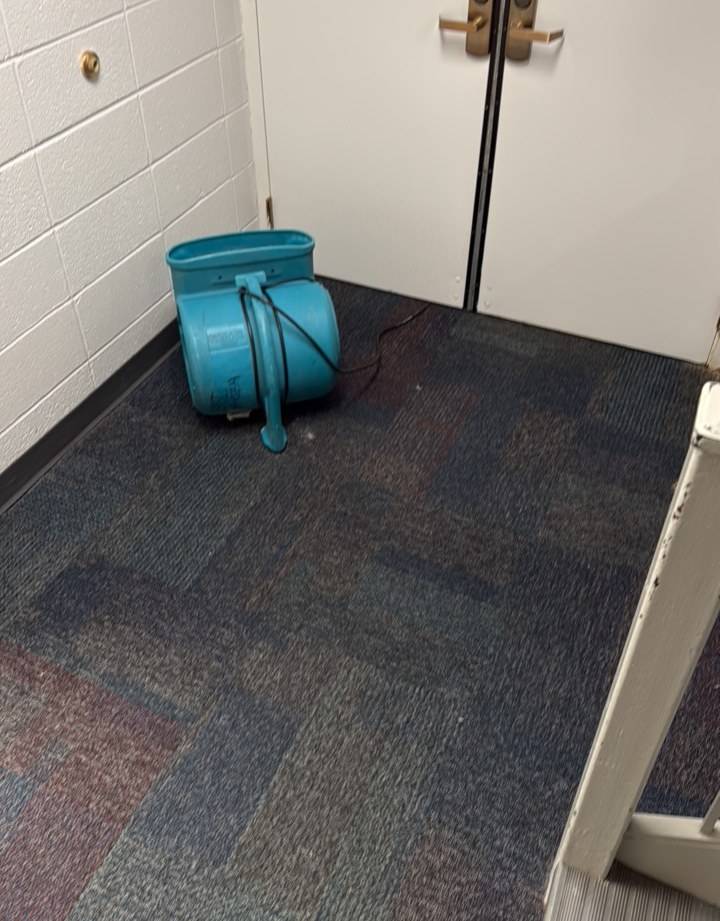 Air mover drying a carpeted stair landing